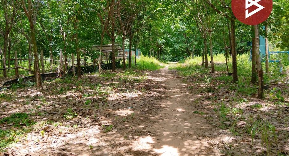 Grundstück zum Kauf in Chom Phra, Surin