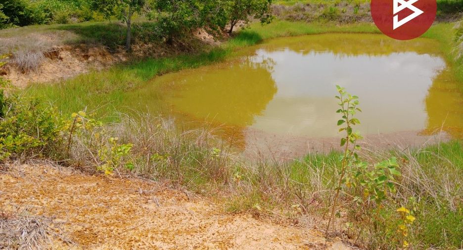 Grundstück zum Kauf in Chom Phra, Surin