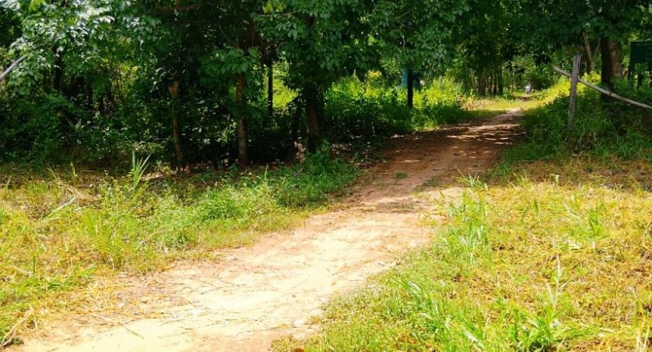 Grundstück zum Kauf in Chom Phra, Surin