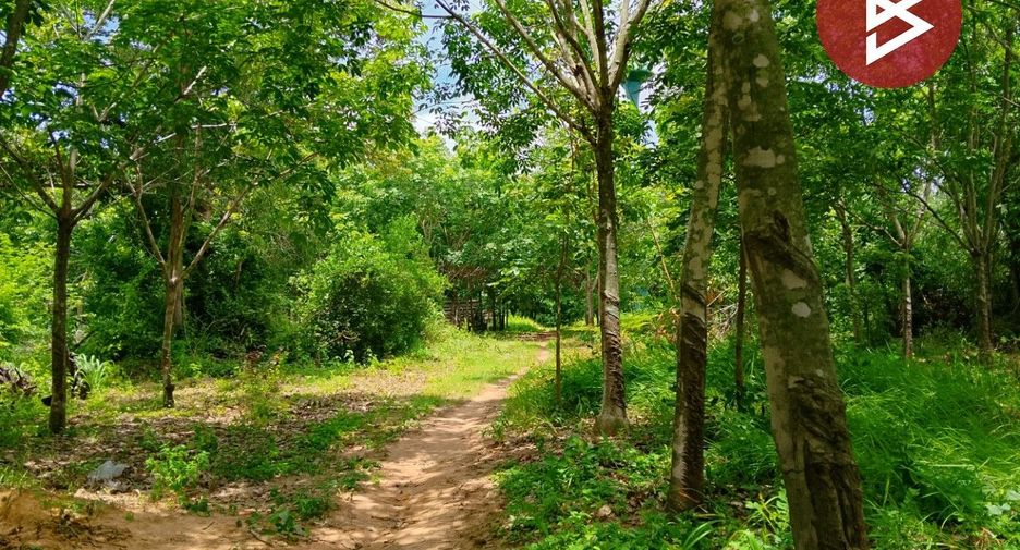 Grundstück zum Kauf in Chom Phra, Surin
