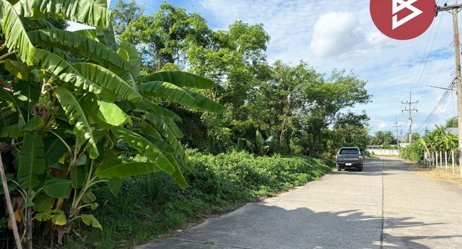 Terreno en venta en Doi Saket, Chiang Mai