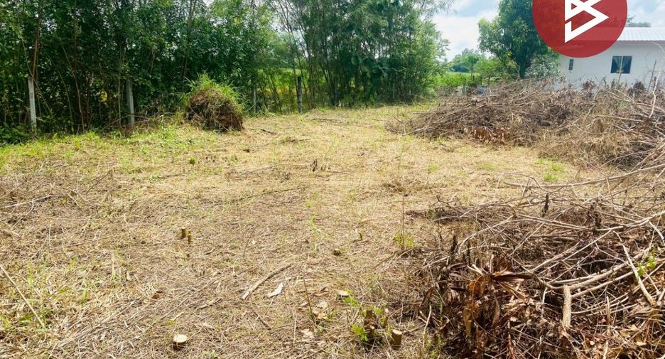 À vendre terrain à Pak Thong Chai, Nakhon Ratchasima