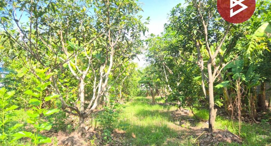 For sale land in Phutthamonthon, Nakhon Pathom
