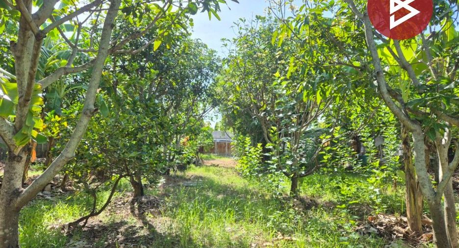 For sale land in Phutthamonthon, Nakhon Pathom