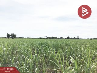 For sale land in U Thong, Suphan Buri