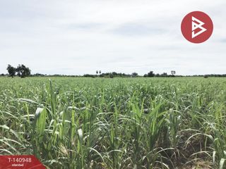 For sale land in U Thong, Suphan Buri