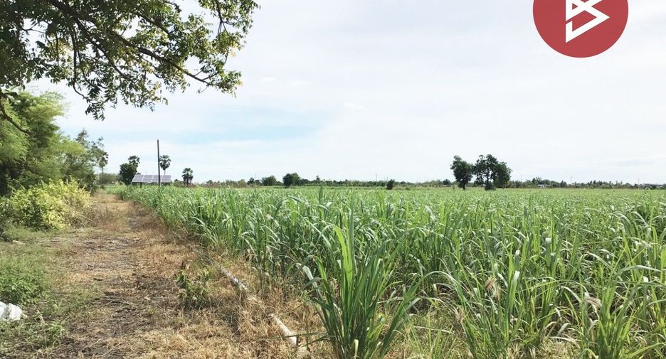 For sale land in U Thong, Suphan Buri
