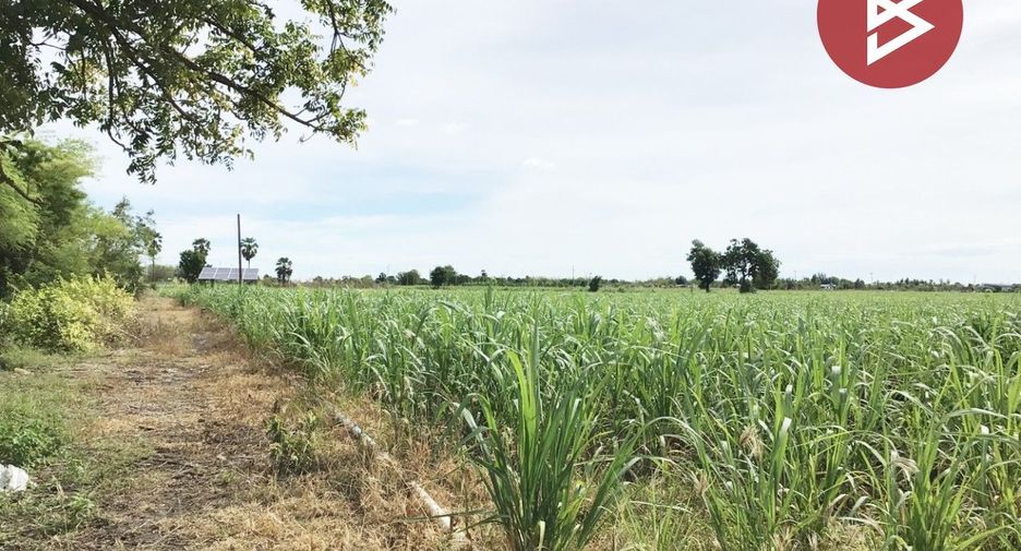For sale land in U Thong, Suphan Buri