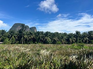 For sale land in Mueang Krabi, Krabi