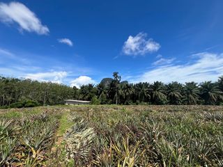 For sale land in Mueang Krabi, Krabi