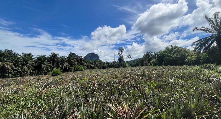 For sale land in Mueang Krabi, Krabi