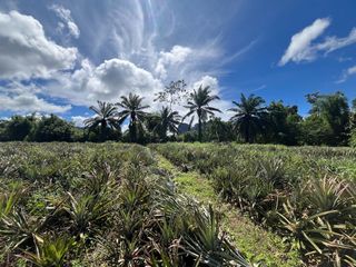For sale land in Mueang Krabi, Krabi