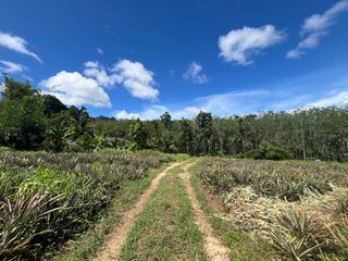For sale land in Mueang Krabi, Krabi