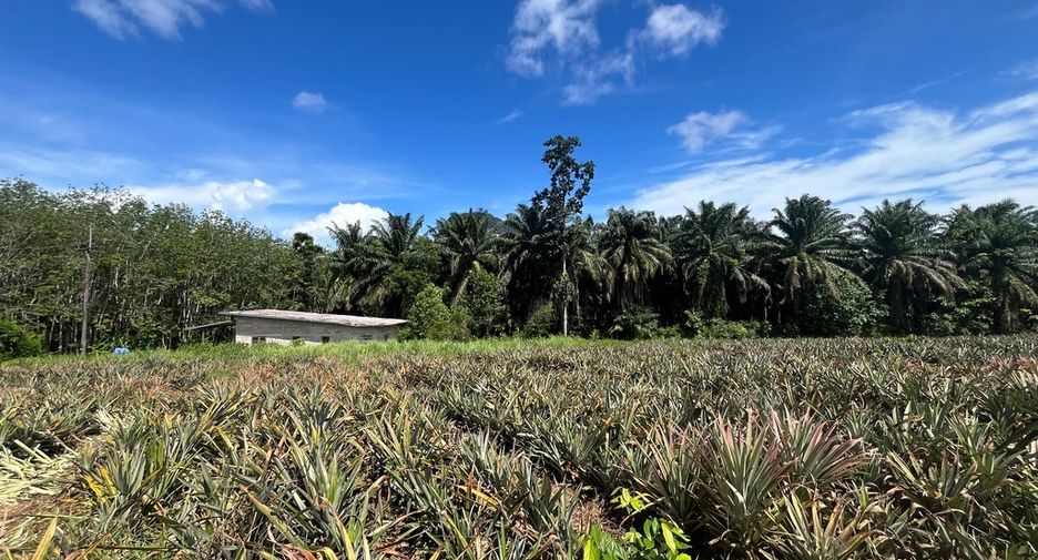 For sale land in Mueang Krabi, Krabi