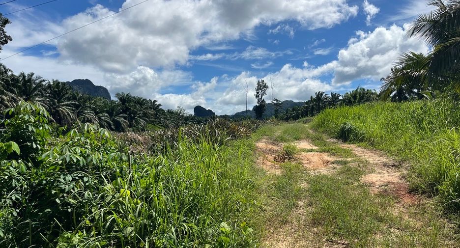 For sale land in Mueang Krabi, Krabi