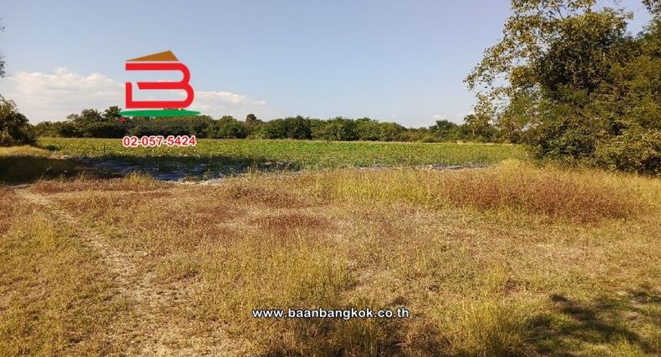 Terreno en venta en Doi Lo, Chiang Mai