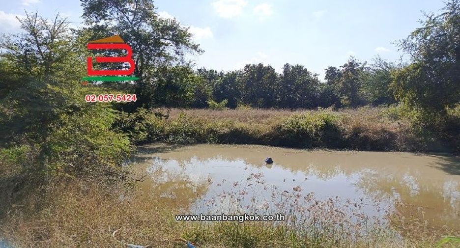Terreno en venta en Doi Lo, Chiang Mai