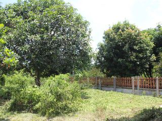Grundstück zum Kauf in Mueang Nakhon Nayok, Nakhon Nayok