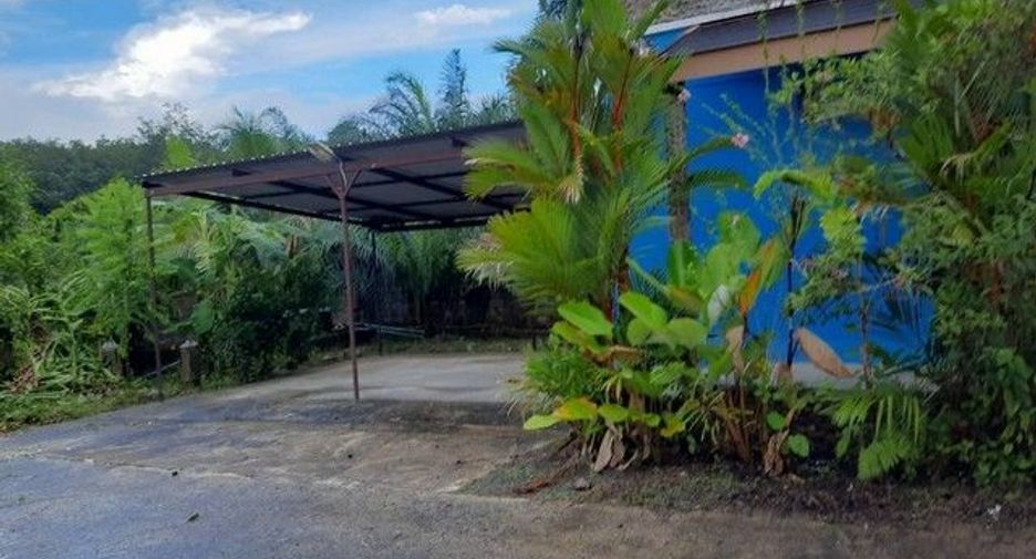 For sale land in Kapong, Phang Nga