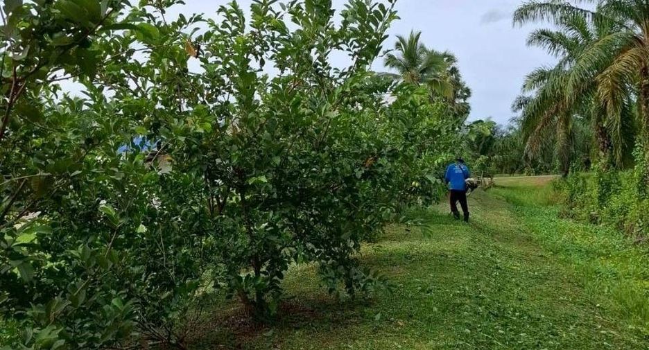 Terreno en venta en Phipun, Nakhon Si Thammarat
