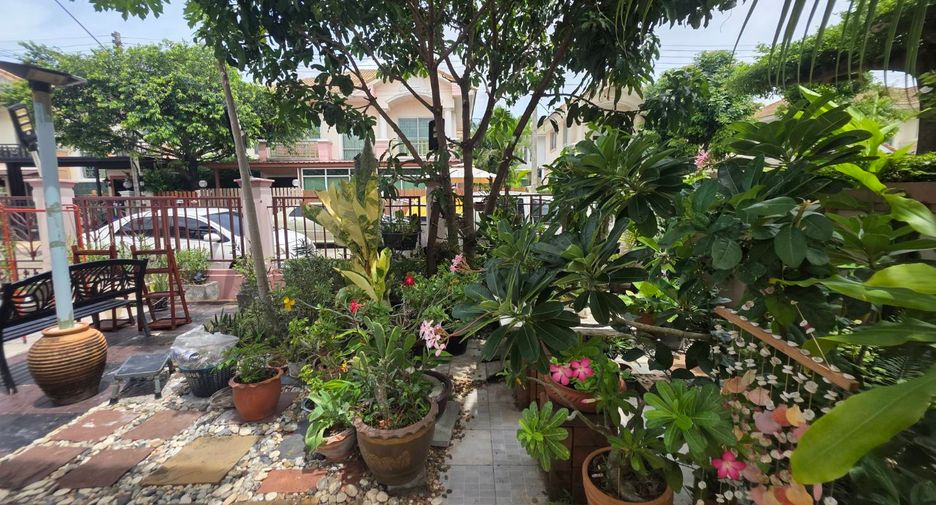 出租 3 卧室 独立屋 在 Lam Luk Ka, Pathum Thani