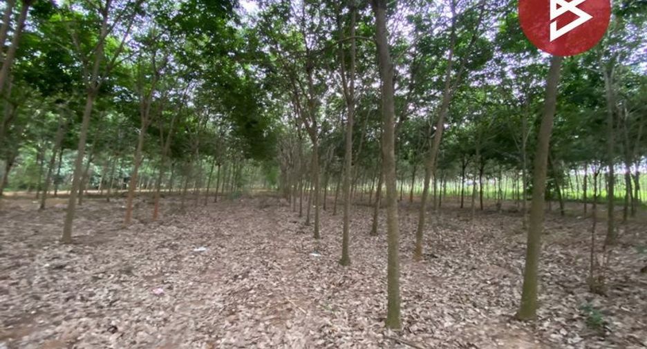 For sale land in Nikhom Phatthana, Rayong