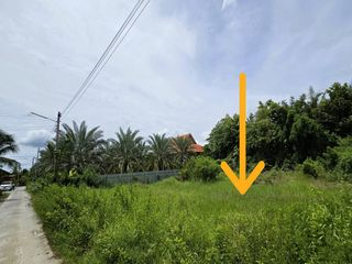 For sale land in Sam Phran, Nakhon Pathom