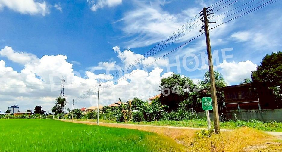 ขาย ที่ดิน ใน เมืองปทุมธานี, ปทุมธานี