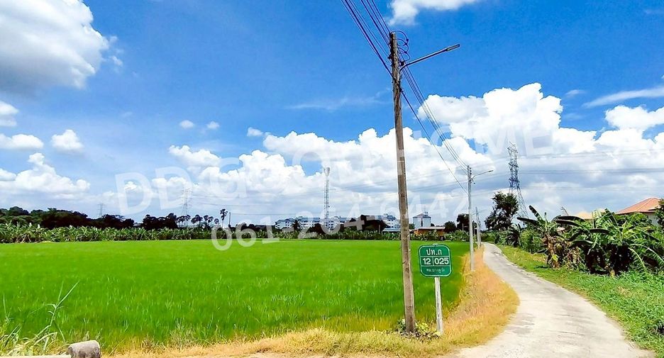 ขาย ที่ดิน ใน เมืองปทุมธานี, ปทุมธานี