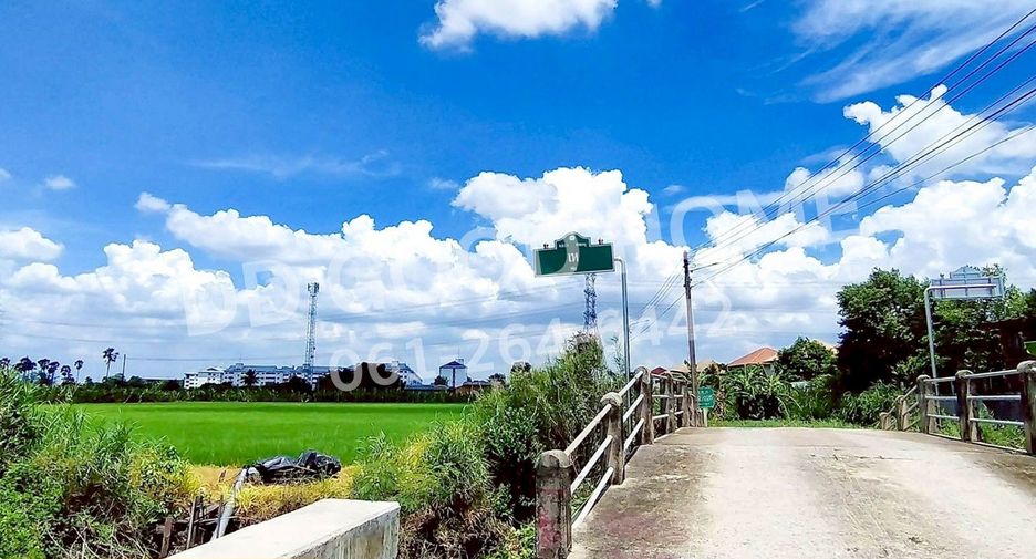 ขาย ที่ดิน ใน เมืองปทุมธานี, ปทุมธานี