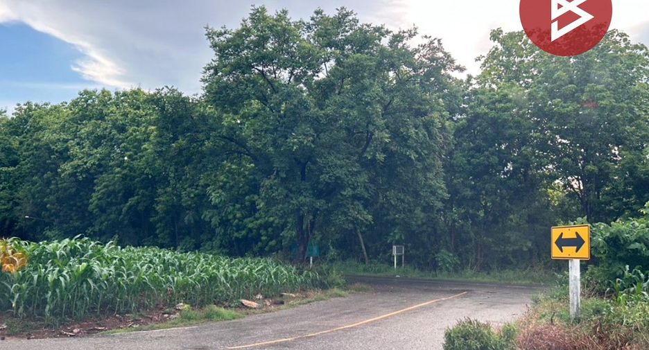 For sale land in Chon Daen, Phetchabun