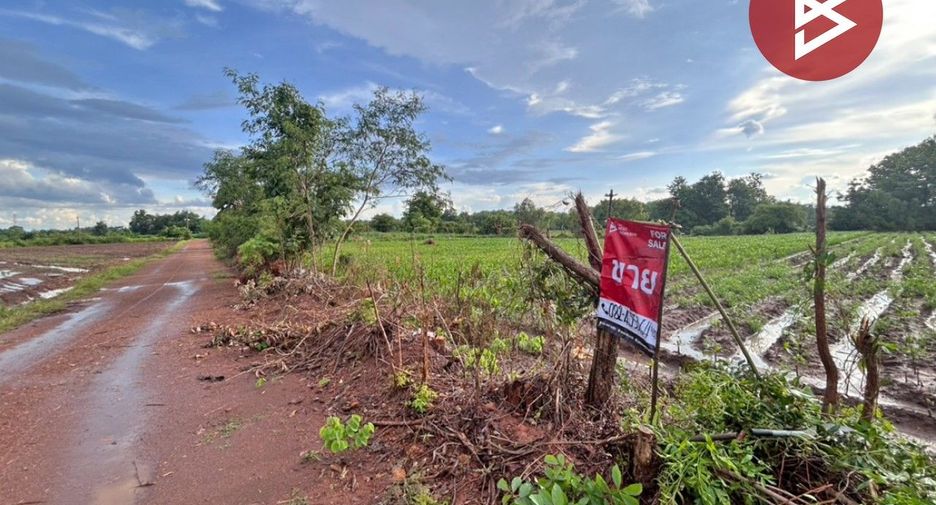For sale land in Chon Daen, Phetchabun