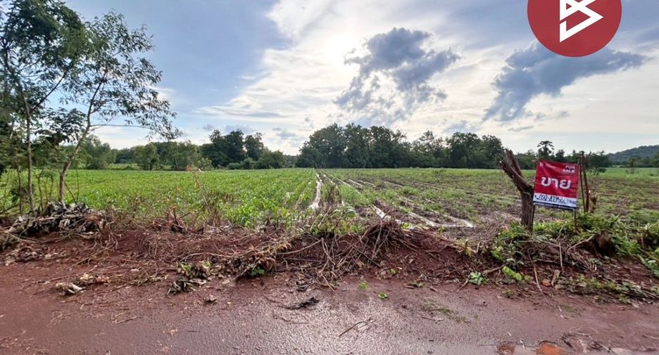 For sale land in Chon Daen, Phetchabun
