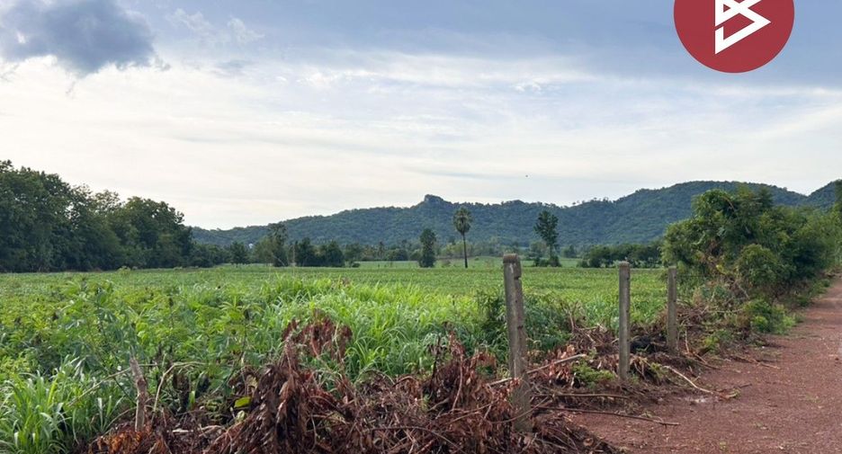 For sale land in Chon Daen, Phetchabun