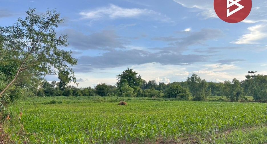 For sale land in Chon Daen, Phetchabun