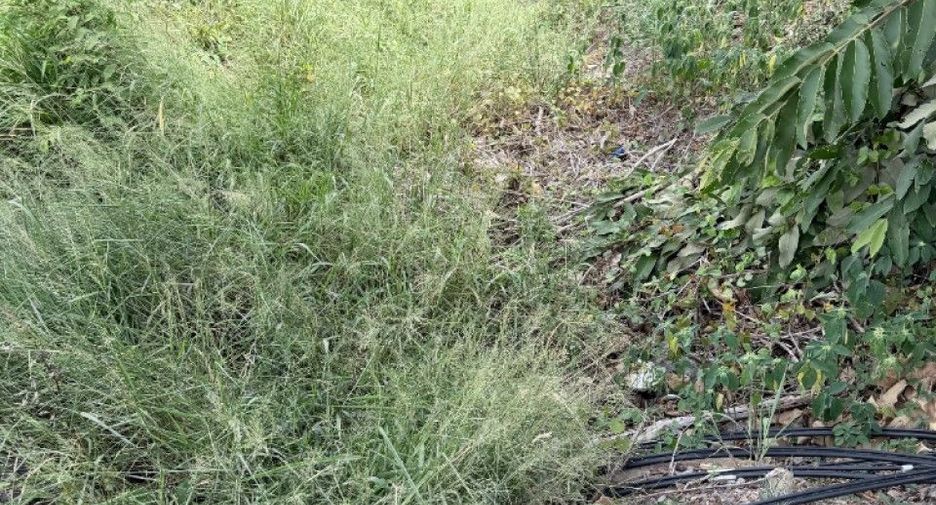 Продажа Участок в Chai Badan, Lopburi