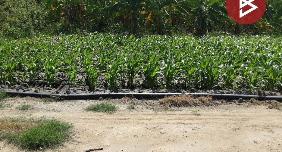 For sale land in Tha Maka, Kanchanaburi