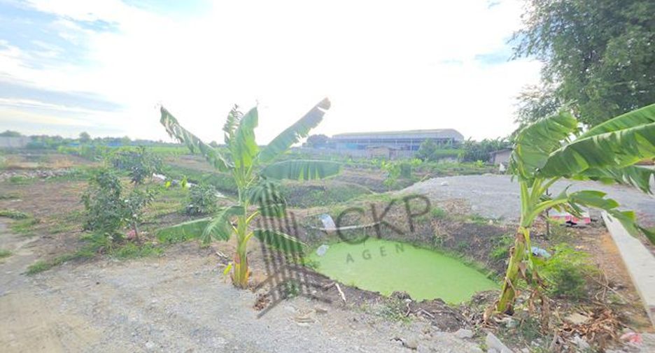 For sale land in Sam Phran, Nakhon Pathom