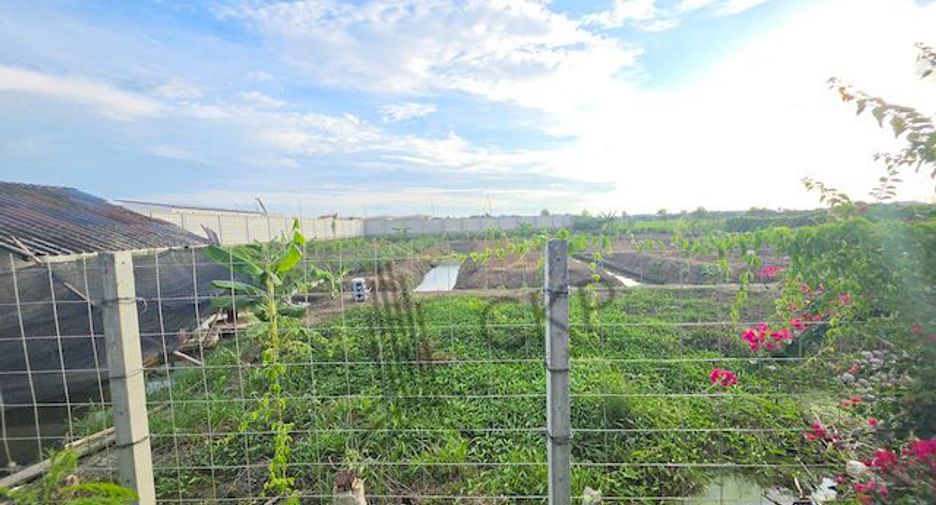 For sale land in Sam Phran, Nakhon Pathom