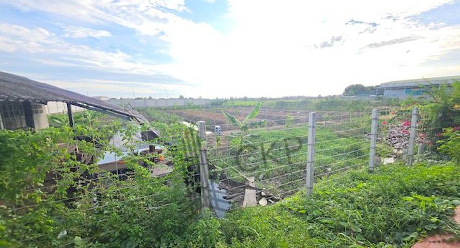 For sale land in Sam Phran, Nakhon Pathom