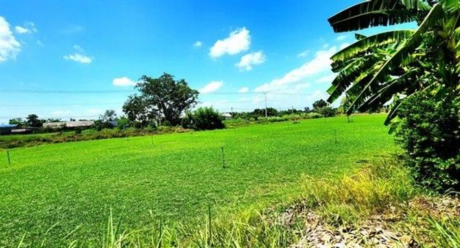 Terreno en venta en Thanyaburi, Pathum Thani