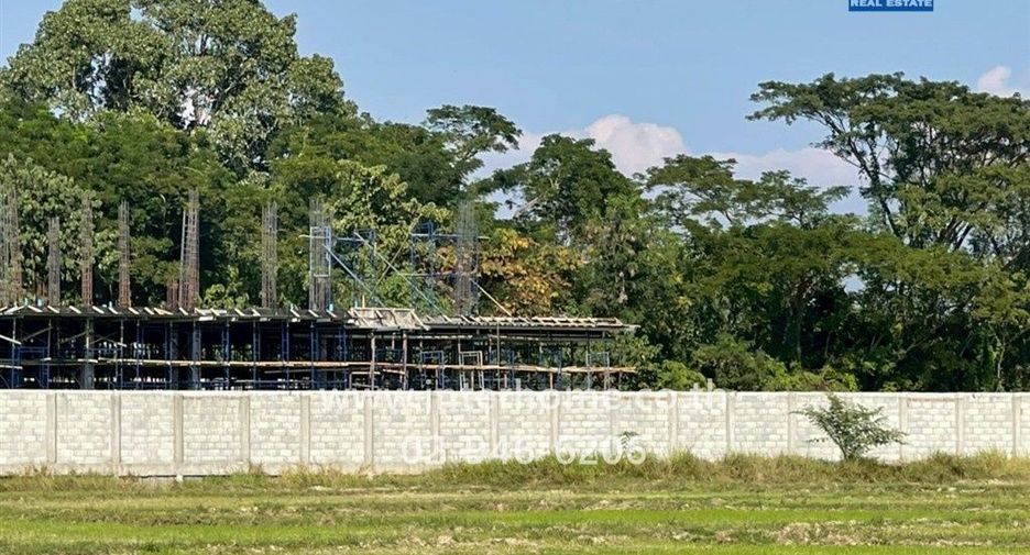 Grundstück zum Kauf in San Kamphaeng, Chiang Mai