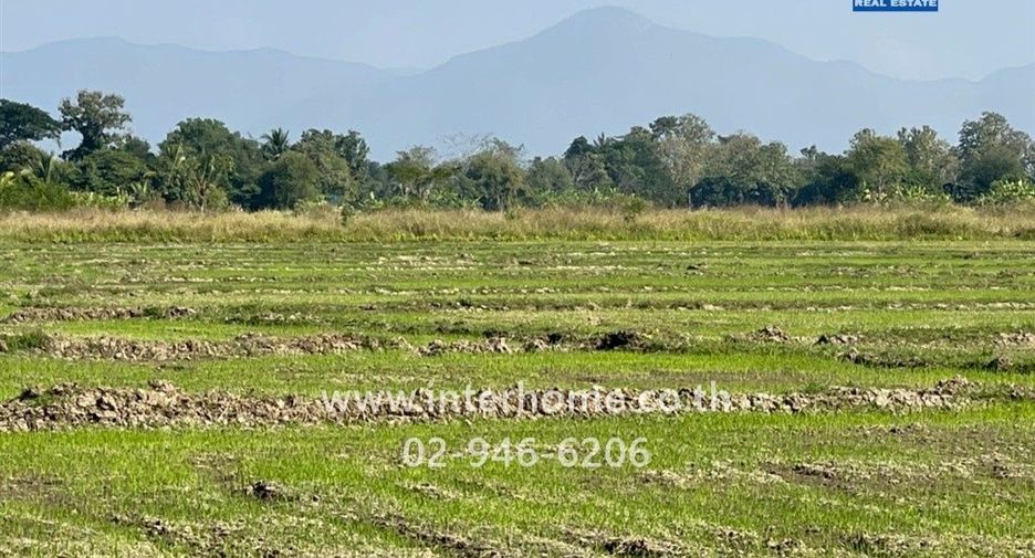 Grundstück zum Kauf in San Kamphaeng, Chiang Mai