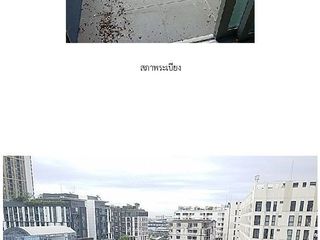 出售 1 卧室 公寓 在 Mueang Samut Prakan, Samut Prakan
