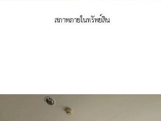 Wohnung zum Kauf mit Studio in Mueang Nonthaburi, Nonthaburi