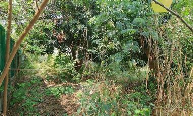 ขาย ที่ดิน ใน เมืองชลบุรี, ชลบุรี