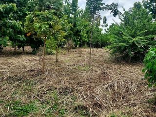 Продажа Участок в Ban Mo, Saraburi