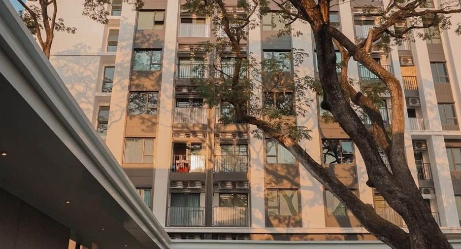 Продажа 1 кровать кондо в Mueang Chiang Mai, Чианг Маи