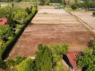 For sale land in Pai, Mae Hong Son