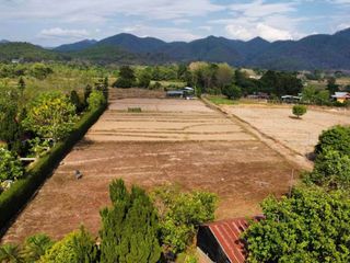 For sale land in Pai, Mae Hong Son